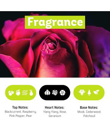 ZUMBA Sweat Control - 5.1 Fl Oz - Post-work Antiperspirant Spray for Face - Sweat Less Body Antiperspirant Spray For Women & Men - No Stain Cruelty Free SLS & SLES Free - Buy Online on GoSupps.com