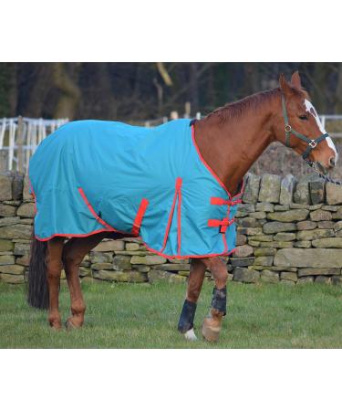 Turners Lightweight 100g Fill Waterproof Turnout Rug for Horse and Shetland Pony 5'0" - Buy Online on GoSupps.com