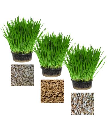 Pet Grass Variety Pack by Cat FurNature - Buy Online on GoSupps.com