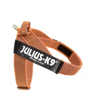 Julius-K9 Color & Gray Belt Harness XL / 2 orange-grey