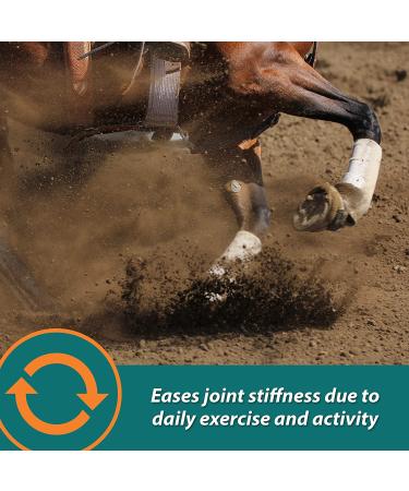Farnam Next Level Joint Fluid Supplement 16oz - Supports Hip & Joint Health for Horses & Dogs - Buy Online on GoSupps.com