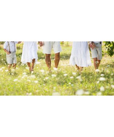 Ferment de K fir - Pack de sachets de Culture lyophilis e pour K fir de lait doux (12 sachets) - Buy Online on GoSupps.com