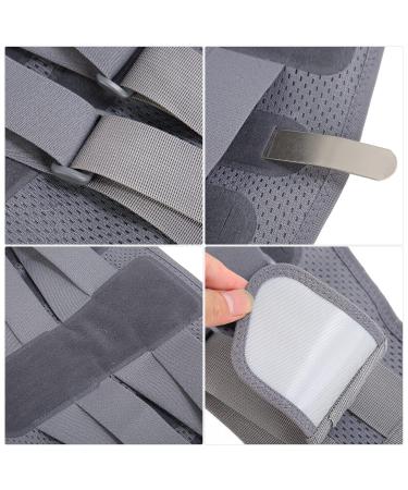 Back Support Belt Breathable Steel Plate Lumbar Support Brace for Lower Back Herniated Disc Back Brace Belt Lumbar Plate Support Lumbar Support Bracket - Buy Online on GoSupps.com