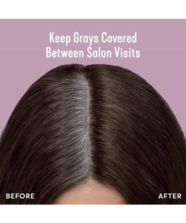 Madison Reed Radiant Hair Color Kit - Shades of Blonde - 3 oz (Pack of 1) - Dark Brown 5N Calabria - Buy Online on GoSupps.com