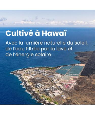 Nutrex Hawaii Pure Hawaiian Spirulina 454g Vegan Powder Gluten Free Soy Free Vegetarian - Buy Online on GoSupps.com