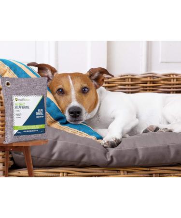 Breathe Green Bamboo Charcoal Odor Eliminator Bag (3 Pack) - Natural Odor Absorber for Home Car Pets & More | Activated Charcoal Freshener - Buy Online on GoSupps.com