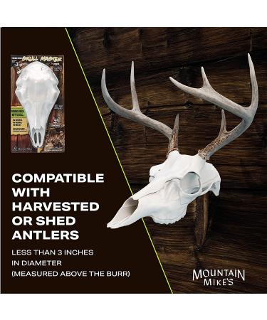 Mountain Mike's Reproductions Skull Master - Universal Antler Mounting Kit - European-Style - Fits Most Antlers - White Natural - Buy Online on GoSupps.com