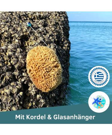 Tom & Pat Natural Sponge - Premium Quality Bathing & Shower Sponge from Greece | Dermatest Very Good 25-26 cm Body Peeling Sponge with Cord & Glass Trailer - Buy Online on GoSupps.com