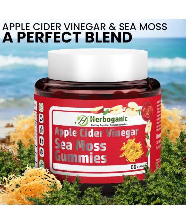 HERBOGANIC Apple Cider Gummies 60 Gummies for Your Over All Health and Wellness Apple Cider 60 Count (Pack of 1) - Buy Online on GoSupps.com