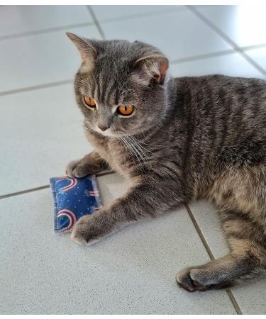 Bt Tobias Brunner Cuddly Petzen Fragrance Pillows for Cats - Catnip-Infused Comfort - Trial Size - Made in Germany - Buy Online on GoSupps.com