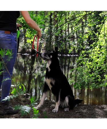 Lionto Dog Collar - Red Retriever Training Collar 40 cm Length & 0.8 cm Thickness | Durable & Adjustable - Buy Online on GoSupps.com