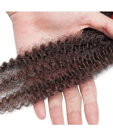 SEGO 3 Packs Afro Crochet Braids - Kinky Curly Hair Bulk Extensions in Natural Black & Red-Brown - Buy Online on GoSupps.com