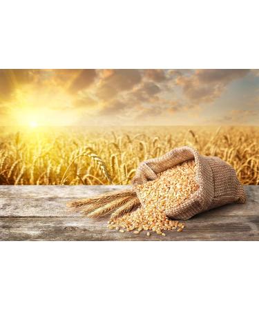 Organic Whole Wheat Couscous - 5 lbs | Non-GMO, Kosher, Raw, Vegan | Bulk Pack of 1 - Buy Online on GoSupps.com