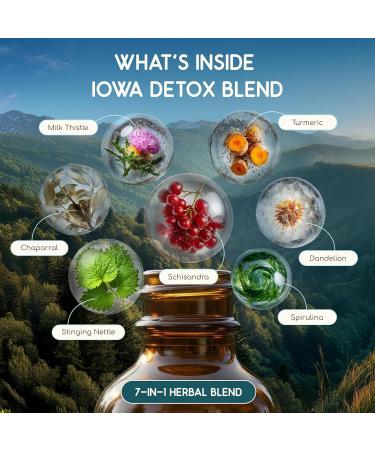 HerbEra Iowa Herbal Detox Blend - USDA Organic Extract Made in USA | Immune & Liver Support Liquid Drops | Dandelion Root Milk Thistle Schisandra Turmeric Chaparral | 2 fl oz - Buy Online on GoSupps.com