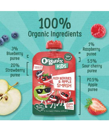 Organix Kids Red Berries & Apple Organic Smash Pouch 3+ Years 100 g (Pack of 6) - Buy Online on GoSupps.com