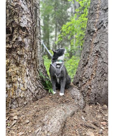 Travel Cat Harness and Leash Set - Adjustable Comfort Fit Mesh Vest Harnesses with Reflective Strap - Snug Fit Harness for Cats Kitten for Outdoor Walking Grey Large (Chest 16-19 inch) Grey L - Buy Online on GoSupps.com
