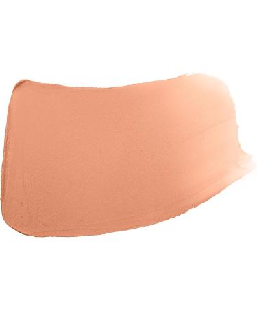 VINCENT LONGO Water Canvas Highlighter Lucky Light - Buy Online on GoSupps.com