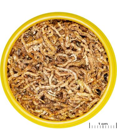 JBL PRONOVO FIL 100ml - Buy Online on GoSupps.com