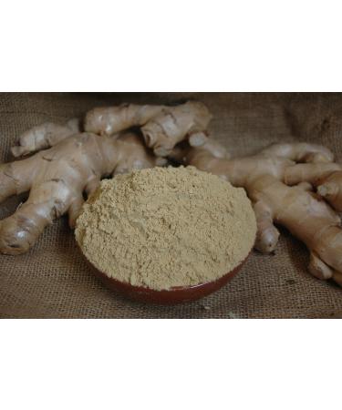 powder ginger 100 g