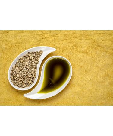 Hemp Seed Oil - 100% Pure Unrefined Cold Pressed Organically Sourced All Natural Non GMO Extra Virgin Undiluted Carrier Oil - 32 oz - 1 Quart - For DIY Essential Oils Cosmetics - Packaging May Vary - Buy Online on GoSupps.com