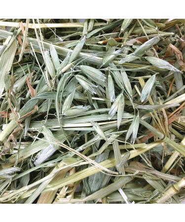 All Natural Oat Hay for Rabbits, Guinea Pigs & Small Animals - 15oz - Buy Online on GoSupps.com