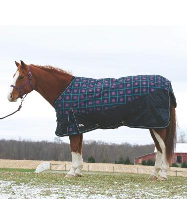 Weaver Leather Black/Turquoise Round Cotton Lunge Line - Durable and Stylish - Buy Online on GoSupps.com