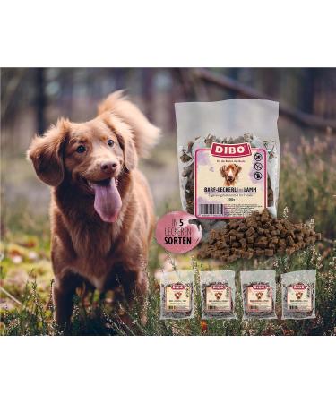Dibo Barf Treats for Dogs - 200g Sugar-Free Lamb & Duck Training Snacks | Healthy Wild Bouquet - Perfect for Small Dogs - Buy Online on GoSupps.com