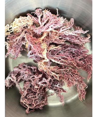 GENNI Wild purple sea moss made from the pristine waters of the Caribbean uncultivated on a string (50 g) - Buy Online on GoSupps.com