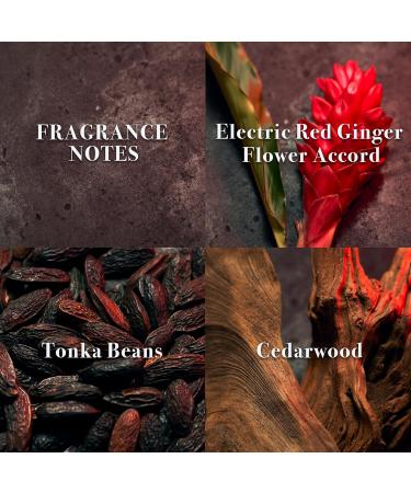 John Varvatos Men's Cologne XX Eau de Toilette EDT Spray Woody Oriental Scent with Notes of Cardamom Orange Flower & Sandalwood John Varvatos XX Intense Eau de Parfum 4.2 Fl Oz (Pack of 1) - Buy Online on GoSupps.com