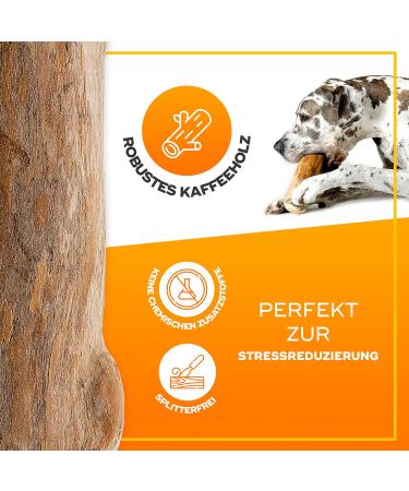 Natural Dog Treats - Coffee Wood Chewing Bones for Dogs & Puppies | Caustab & Kachtiele Toys (2 Pack) - Buy Online on GoSupps.com