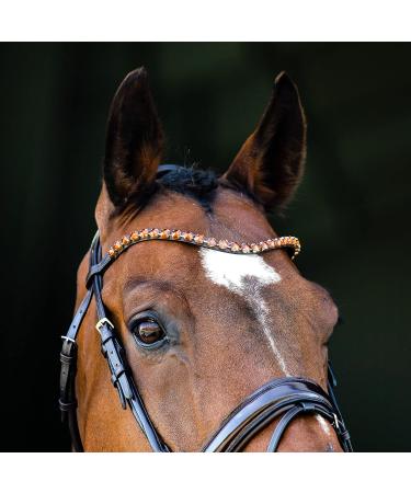 HORZE Horse Bridle Clermont Anatomical for Warmblood & Thoroughbred - Dark Brown C (C) - Premium Quality eCommerce Shipping Worldwide - Buy Online on GoSupps.com
