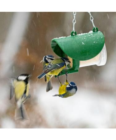 Peanut Butter for Birds - Jacobi Jayne Flutter Butter EcoRefills - Buggy Flavour Wild Bird Food - Ultra-Convenient Eco-Friendly Bird Feed - Pack of 12 Refills Buggy Buggy 140 g (Pack of 12) - Buy Online on GoSupps.com