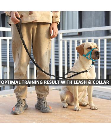 Barkeless Dog Handlebars - No Pull Head Halter for Dogs | Adjustable & Padded with Training Guide - Medium Light Blue - Buy Online on GoSupps.com