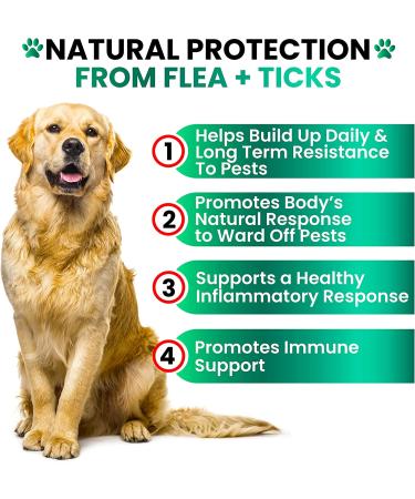 Flea & Tick Prevention Chewables for Dogs - Natural Control Supplement - Oral Pills for All Breeds - Made in USA - Buy Online on GoSupps.com