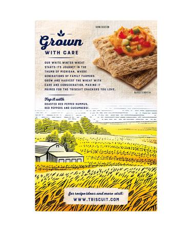 Triscuit Tzatziki Whole Grain Wheat Crackers 8.5 oz - Delicious Snack Option - Buy Online on GoSupps.com