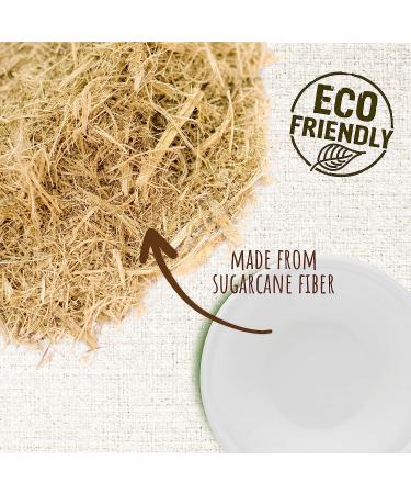 Brheez 16oz Disposable Paper Bowls - Pack of 60 | Compostable & Biodegradable Sugarcane Fiber Bowls | Eco-Friendly Alternative - Buy Online on GoSupps.com