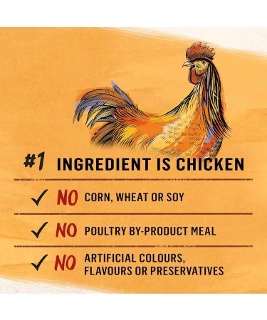 Beyond Wet Cat Food Chicken & Sweet Potato Pate - 85 g Can (12 Pack) - Buy Online on GoSupps.com
