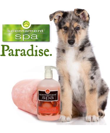 Wild Orchid Vanilla Puppy Conditioner - 16 oz | Best Shot Pet Scentament - Buy Online on GoSupps.com