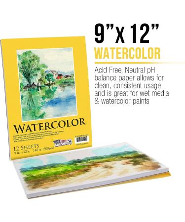 U.S. Art Supply 9x12 Watercolor Paper Pad - Pack of 2, 140lb Heavyweight, Cold Pressed, Acid-Free - Ideal for Artists, Students, Adults - 12 Sheets Each - Wet, Dry & Mixed Media - Buy Online on GoSupps.com