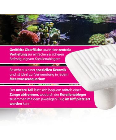 Arka Myreef 27 mm Ceramic Coral Offshoots - 12 Piece Set for Seawater Aquariums - Optimal Hold & Easy Editing - Buy Online on GoSupps.com