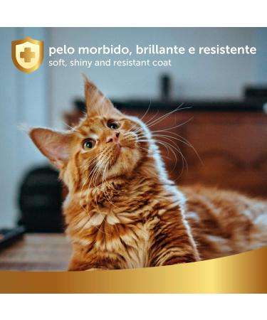 101 love for pet Natural Argan Oil Hair Restructuring 250ml - Regenerates dry and brittle hair - Polishes and detangles - Suitable for all hair types - for dogs or cats Linea 101 - Buy Online on GoSupps.com