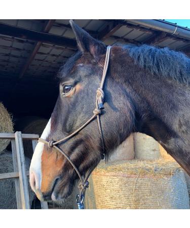 Knothalter for floor work horse- knot-halter COB optimal for free work floor work guide or loading training (thoroughbred (COB) brown beige) thoroughbred (COB) brown-beige - Buy Online on GoSupps.com