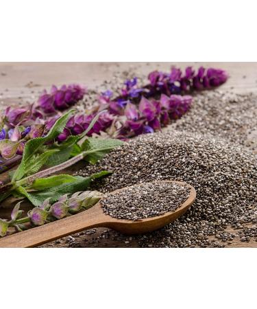 Simpliful Organic Whole Black Chia Seed 28oz - Ready-To-Eat IntegriPure 1.75lb - Pack of 1 - Buy Online on GoSupps.com