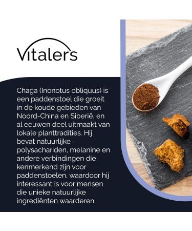 NMM Sp z oo Vitalers Chaga 500 mg 60 capsules vegan 2 months supplementation no preservatives pure composition - Buy Online on GoSupps.com