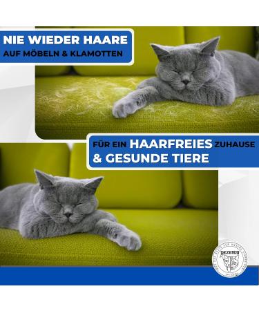 Decendo Subfell Brush for Dogs & Cats | Best Medium to Long Hair Grooming Tool | Easy Knotting Solution | Perfect Fur Care | SM Unterfellbrush in Blue - Buy Online on GoSupps.com