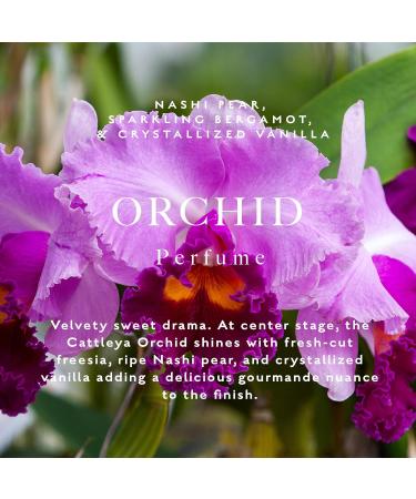 Caswell-Massey Orchid Perfume Classic Floral Scent Luxurious & Long-Lasting Fragrance for Women Full Size Perfume for Women 2 Fl Oz Orchid 2 Fl Oz (Pack of 1) - Buy Online on GoSupps.com