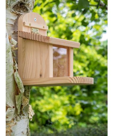 Wildlife World Wooden Squirrel Feeder with Lift-Up Lid - Garden Feeding Box - Buy Online on GoSupps.com