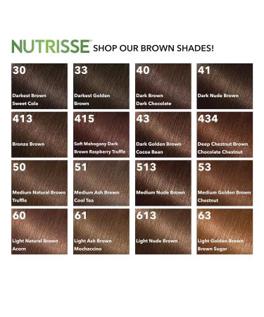 Garnier Nutrisse 63 Light Golden Brown Hair Color - 2 Count Pack - Buy Online on GoSupps.com