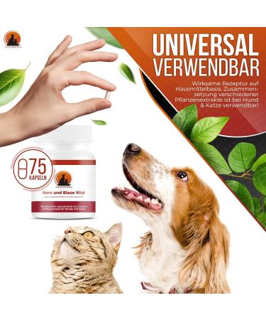 Vital Paws 3x75 Urine & Bladder Capsules for Dogs & Cats | Herbal Home Remedies with Cranberry Mannose & Nettle - Buy Online on GoSupps.com