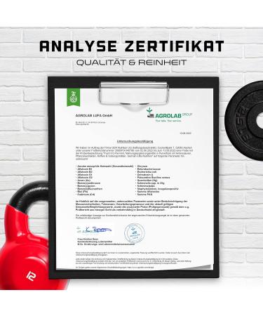 Push It to the Limit - 577g Pre Workout | L-Arginine Citrulline L-Tyrosine Taurine Rhodiola Rosea & Caffeine - High-Dose Forest Fruit Flavor | International Shipping - Buy Online on GoSupps.com